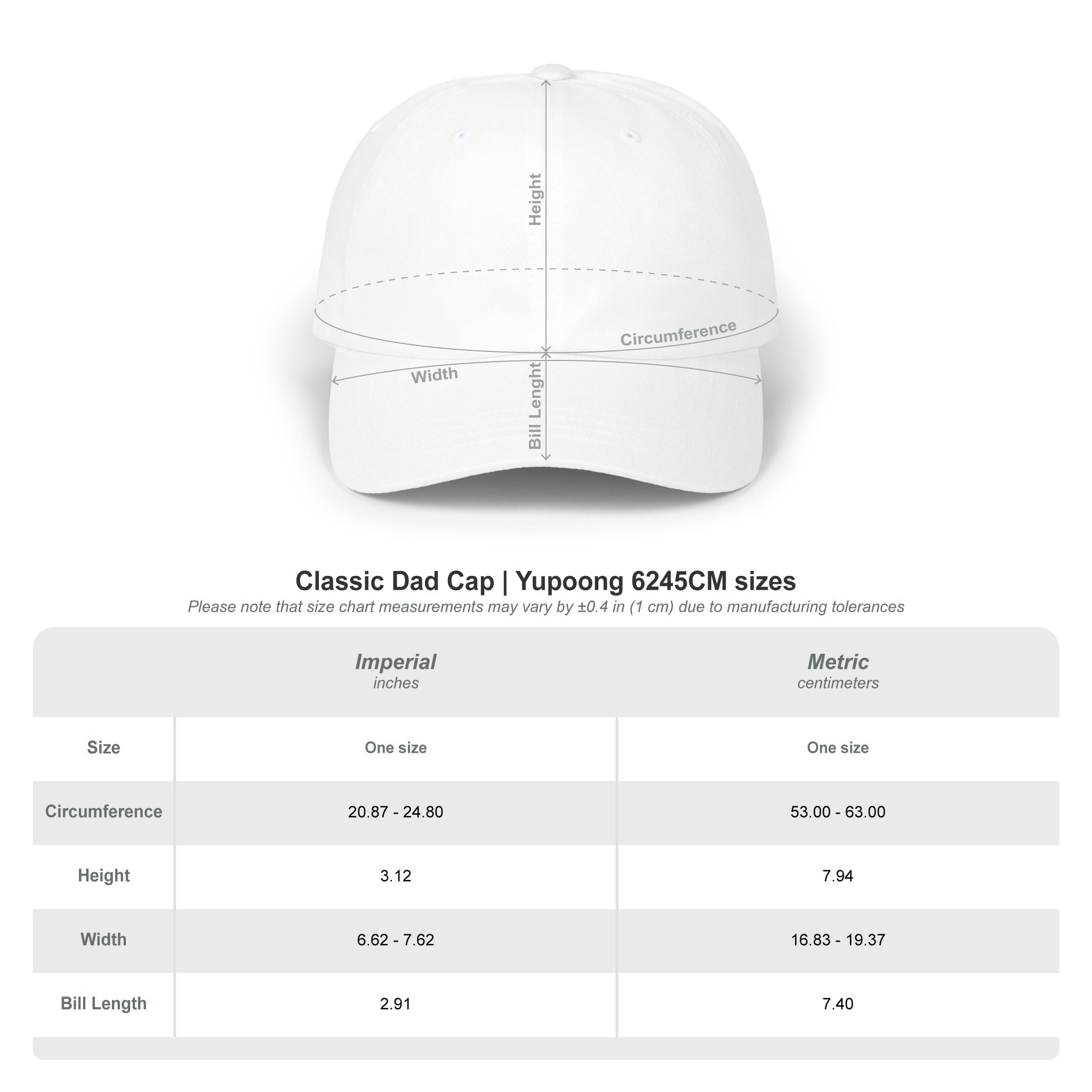 wicked Wrld embroidered Classic Dad Cap | baseball hat